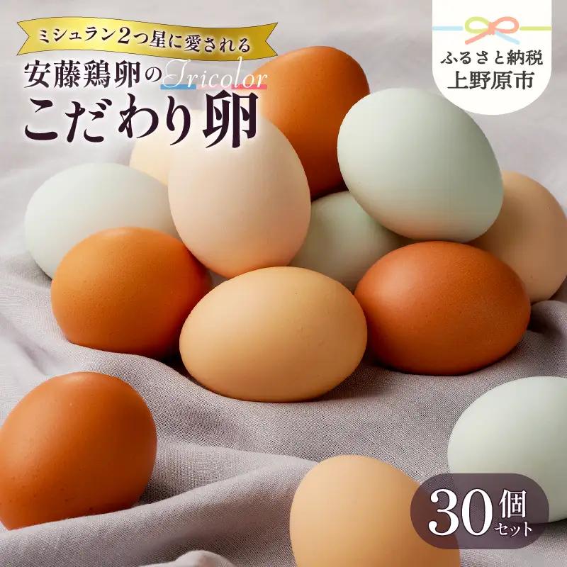 【ふるなびWEEK対象】＼ミシュランも愛用中／ 山梨県産 トリコロール たまご 30個