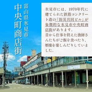 氷見市中央町商店街看板キーホルダーガチャ ［ 10個セット ］ キーホルダー ストラップ ガチャガチャ トレーディング 看板 富山県 氷見市 レトロ