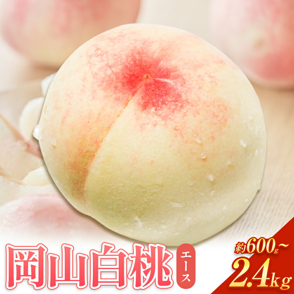【ふるさと納税】【2026年先行予約】岡山白桃 等級 エース 【選べる】約600g~2.4kg 《2026年7月上旬‐8月下旬頃出荷》株式会社 はちや もも モモ 岡山 国産 フルーツ 果物 岡山県 浅口市 フルーツ モモ 果物 青果 旬 白桃 国産 岡山県産【配送不可地域あり】