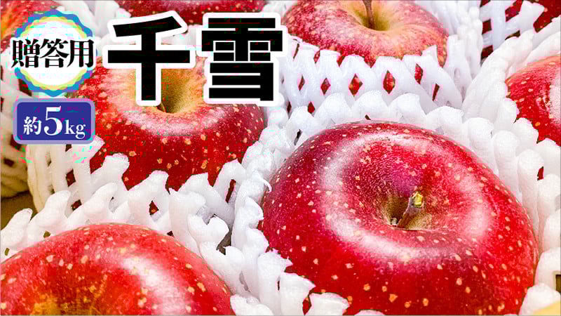 
            【贈答用】青森りんご田子町産千雪 約5kg（18～20玉程度）12月出荷
          