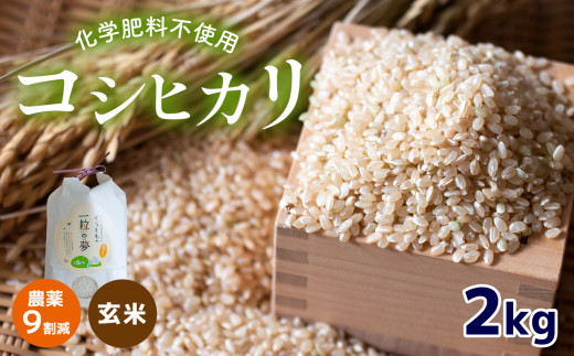 
農薬9割減・化学肥料不使用 コシヒカリ(玄米) 2kg
