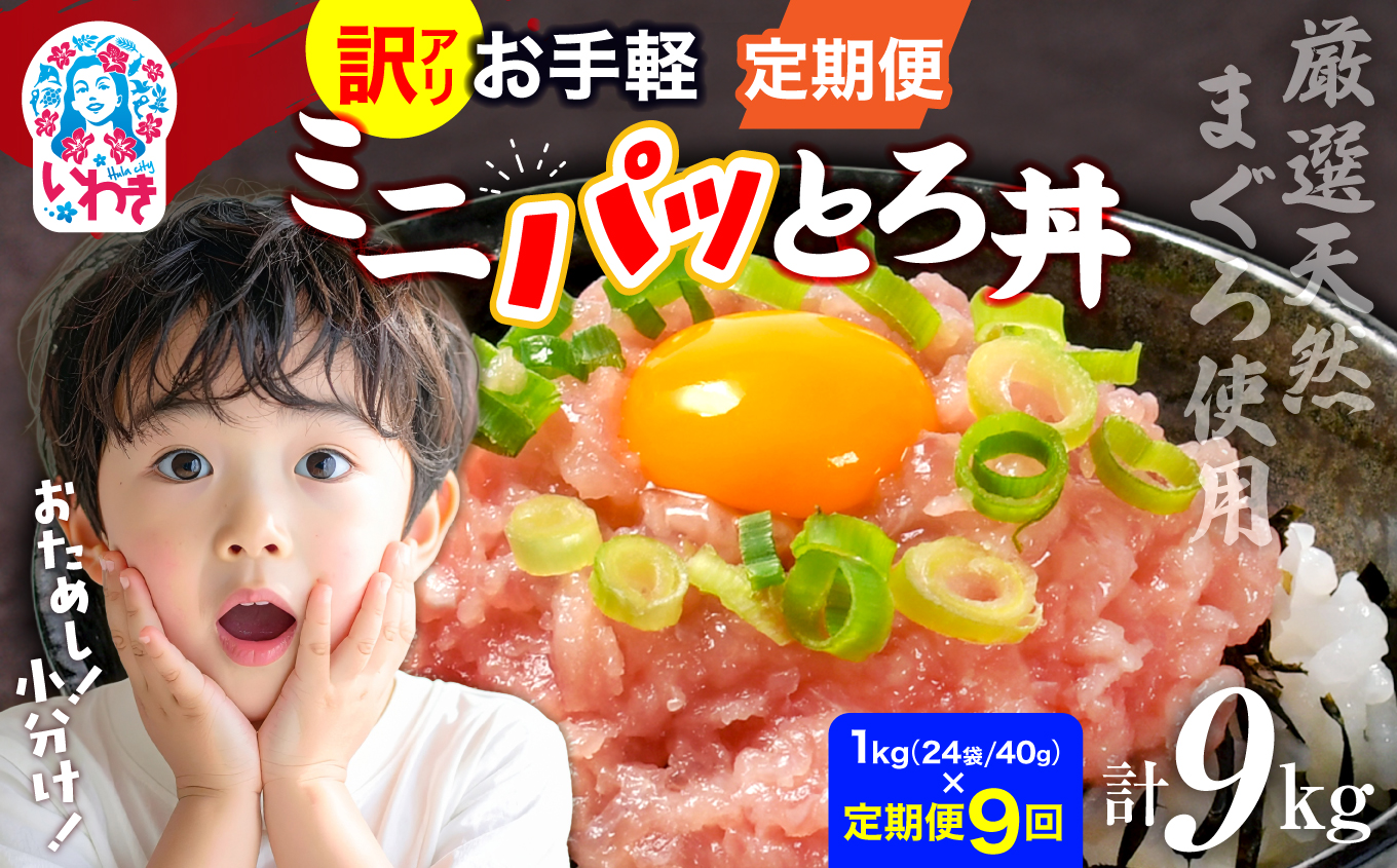 〈定期便9回〉ねぎとろ使い切りパック　約1kg（約40g×24パック） | まぐろ まぐろたたき ねぎとろ マグロ パーティー 使い切りパック 海鮮丼 お寿司 軍艦巻き 福島県 いわき市 父の日 | DK011-1kg-t9