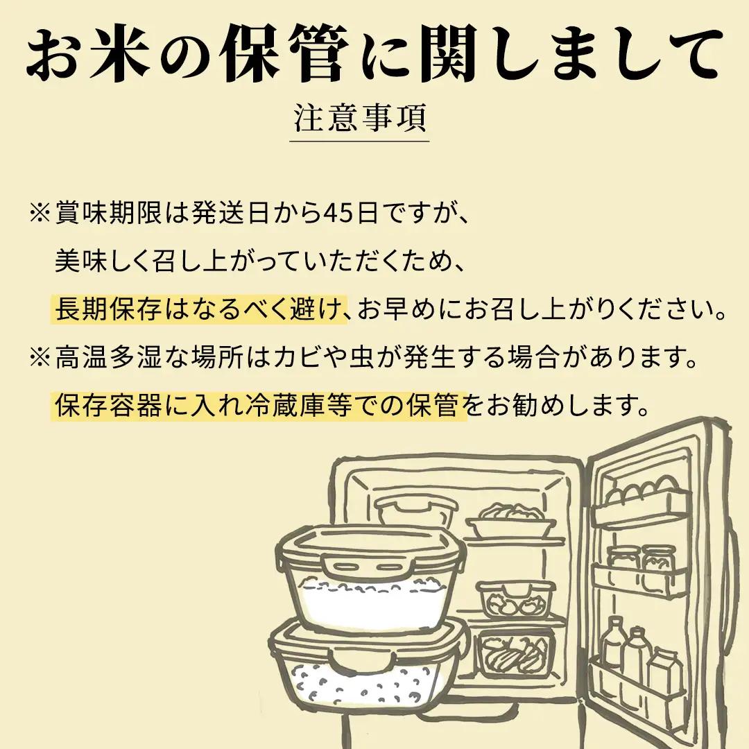 ≪新米≫ ふくまる 10kg (5kg×2袋) 最短3～7営業日出荷 令和8年産 スピード発送 スピード出荷 即納 米 茨城県 中央産 桂農産 コシヒカリ 大粒 精米 産地直送 (AX036)