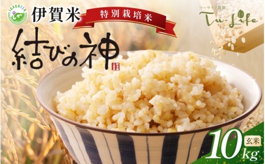 特別栽培米・伊賀米結びの神 10kg〈玄米〉/ 伊賀米 結びの神 玄米 10kg 伊賀米結びの神 結びの神玄米 玄米10kg 米 お米 三重県 伊賀市 伊賀 三重 伊賀産米 伊賀市産米 三重県産米 国産米 国産玄米 特別栽培米 特別栽培 結びの神 ブランド米 伊賀産 結びの神 お米10kg 米10kg 玄米 伊賀米 三重県産 伊賀市産 お取り寄せ 米 伊賀米 結びの神 玄米 【tuli0008A】