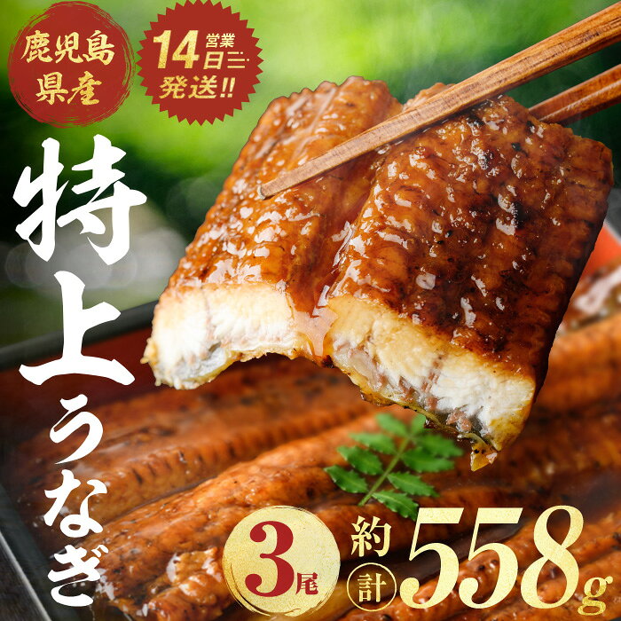 【ふるさと納税】鹿児島県産うなぎ蒲焼 (計約558g / 約186g×3尾) 鰻 ウナギ うなぎ うな重 鹿児島県産 冷凍 【株式会社薩摩川内鰻】