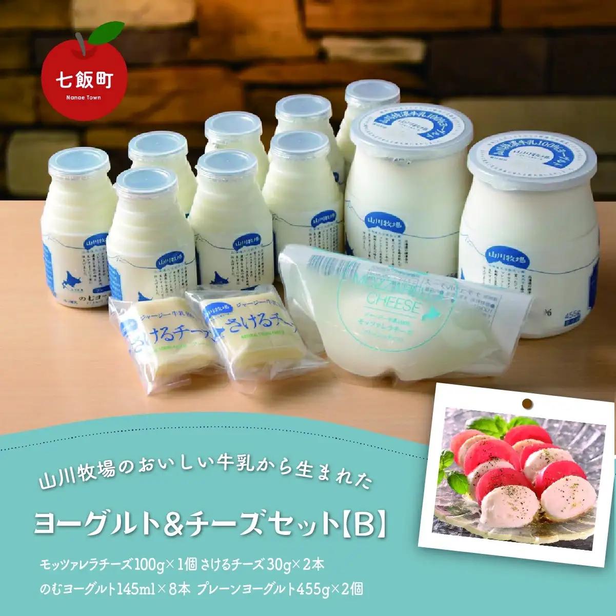 山川牧場こだわりの濃厚ヨーグルト&チーズセット（B） NAN005