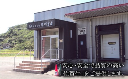 【美しい霜ふり肉をご自宅で】佐賀牛 厚切りサーロインステーキ 280g【Trade com 8】ロース ステーキ[HBO003]