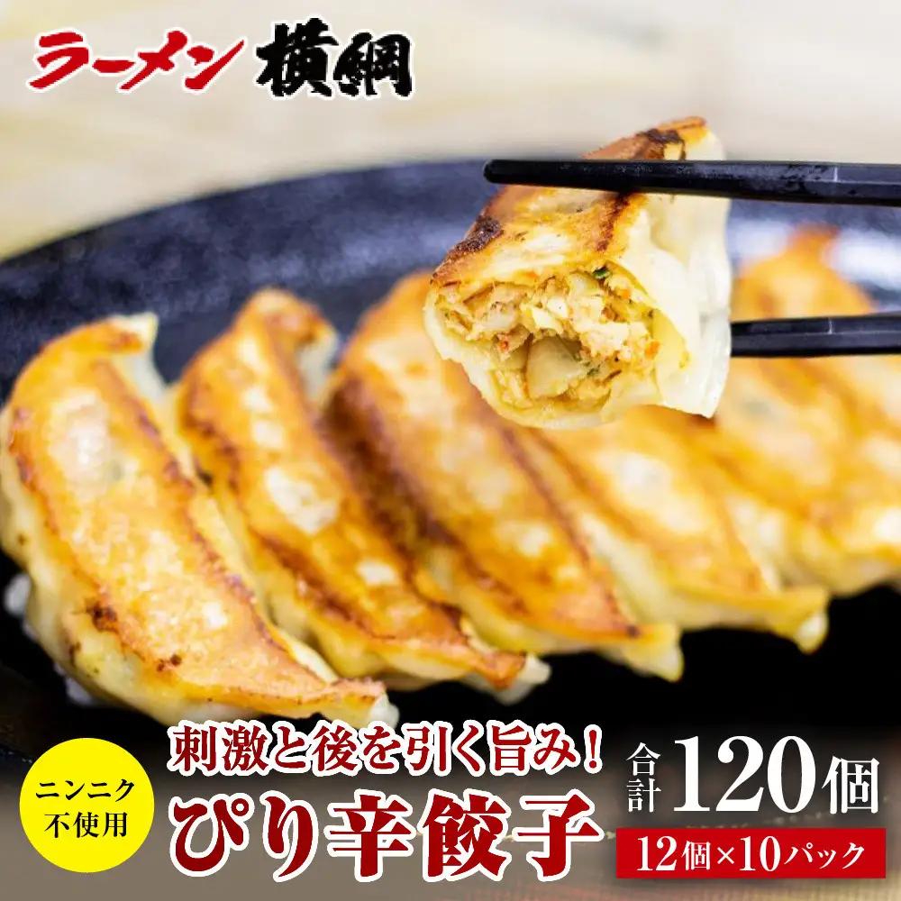 ニンニク不使用 ぴり辛餃子 10パック120個 京都 小分け 餃子 人気 ラーメン横綱