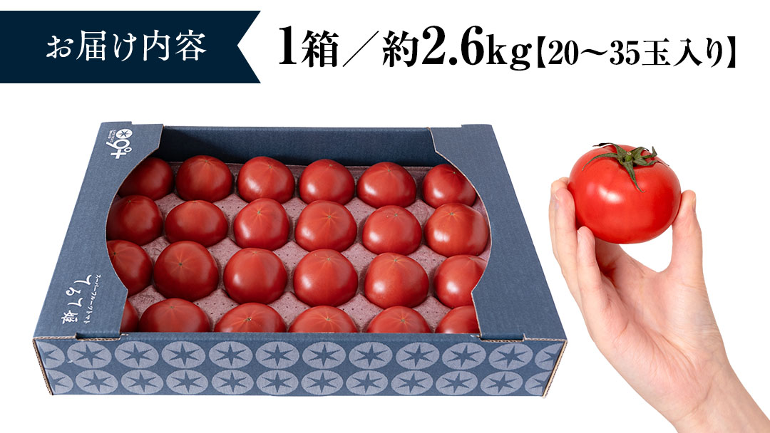 糖度9度以上 トマト スーパーフルーツトマト てるて姫 大箱 約2.6kg × 1箱 【20〜35玉/1箱】 フルーツトマト ブランドトマト とまと てるて姫 野菜 人気 金賞 受賞 ギフト 贈答 茨