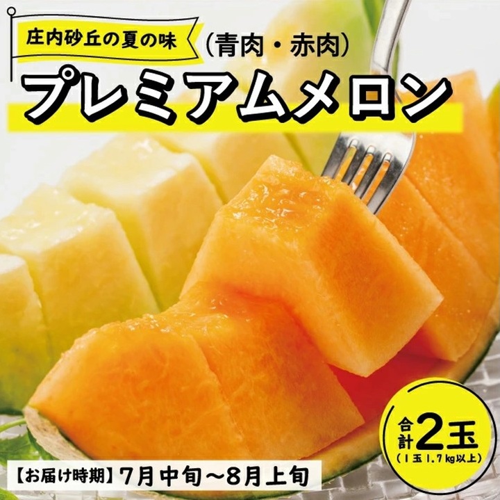 SE0316　【3回定期便】酒田の季節のフルーツ頒布会 Ｃコース2025 (大玉メロン、刈屋梨、庄内柿)