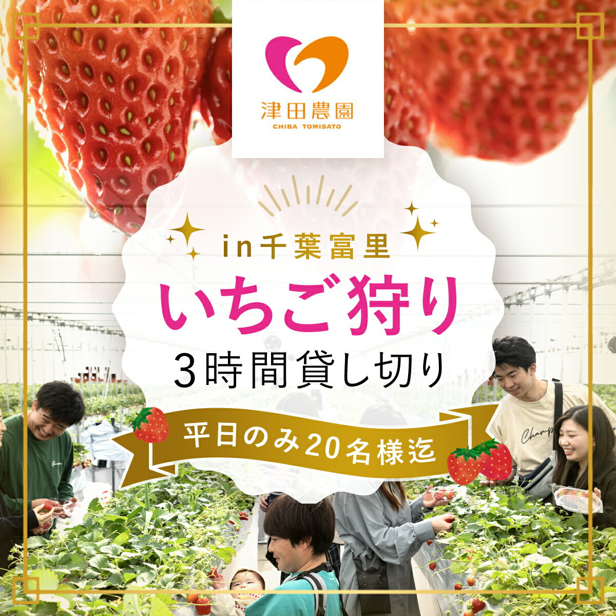 【ふるさと納税】 いちご狩り3時間貸し切り（平日のみ、20名様まで）ご招待券 ふるさと納税 いちごイチゴ 苺 いちご狩り 貸切 3時間 食べ放題 食べ比べ 招待券 千葉県 富里市 TME007