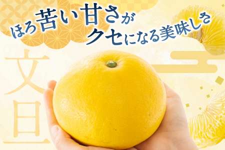 AA092.【予約受付・期間限定商品】福岡柑橘王国・文旦（２０２４年２月～３月配送予定）