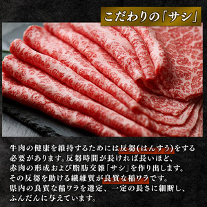 【定期便3回】 近江牛 すき焼き しゃぶしゃぶ 赤身 500g 3ヶ月 冷凍 ( 近江牛 定期便 和牛 定期便 牛肉 定期便 肉 定期便 すき焼き 定期便 しゃぶしゃぶ 定期便 牛肉 肉 国産 ブラン
