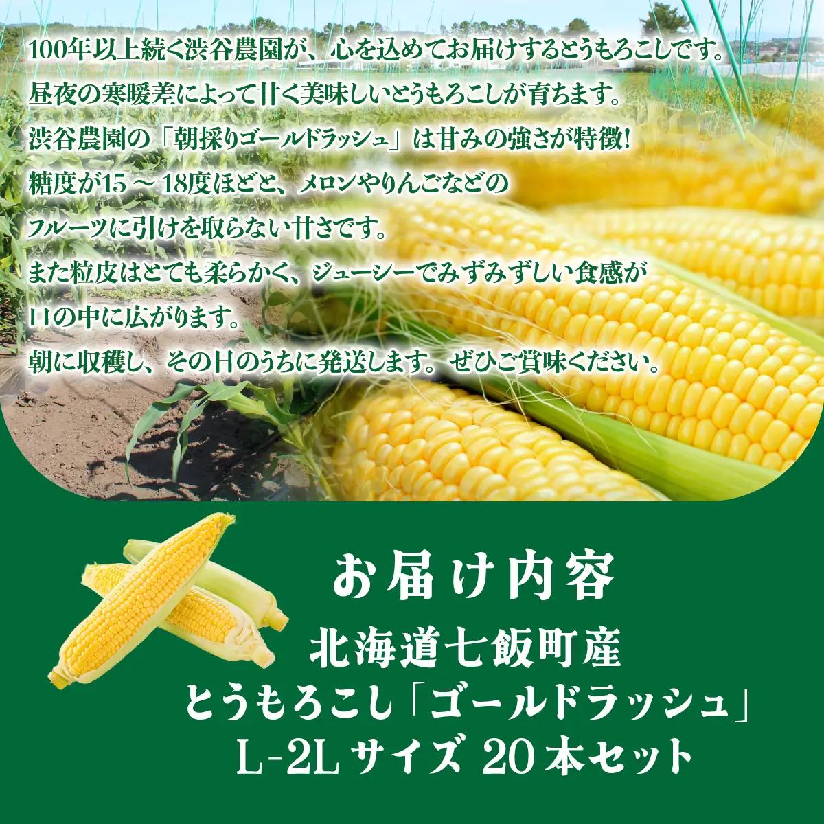 【先行予約 令和8年8月発送】北海道七飯町産 とうもろこし「ゴールドラッシュ」(L-2Lサイズ) 20本セット NABT005