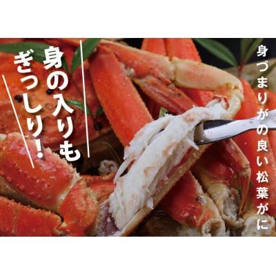 ふるさと納税 鳥取市 鳥取賀露港 訳あり浜茹で松葉がに 大 1枚(かねまさ・浜下商店) |  | 02