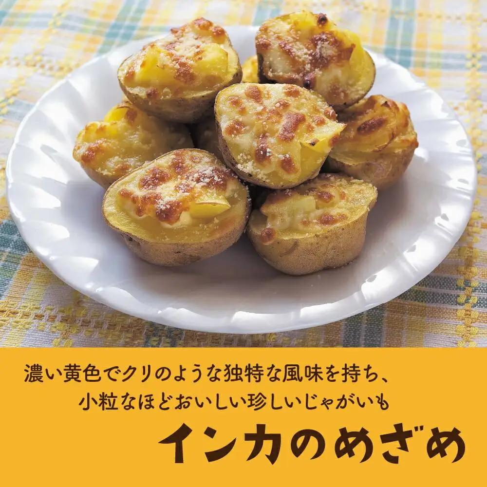 【2026年先行予約】北海道産じゃがいも（インカのめざめ）4kg（10月下旬発送開始）| じゃがいも _00417