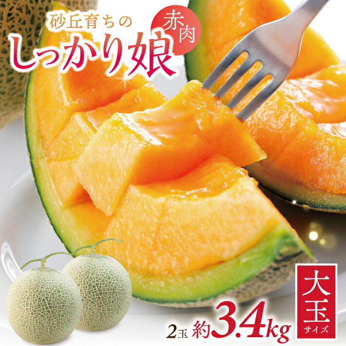 【ふるさと納税】大玉 赤肉メロン しっかり娘 2玉 約3.4kg つる付き 庄内赤肉メロン 山形県酒田市産 7月中旬〜7月下旬頃お届け ※着日指定不可 JA直送 メロン 赤肉 農協 夏 フルーツ くだもの 東北 山形県 庄内 酒田市 旬