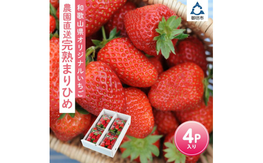 和歌山オリジナルいちご『完熟まりひめ』4パック入り(ご家庭用)《先行予約》2026年3月下旬から順次発送【 配送不可地域：北海道・青森・秋田・岩手・沖縄】