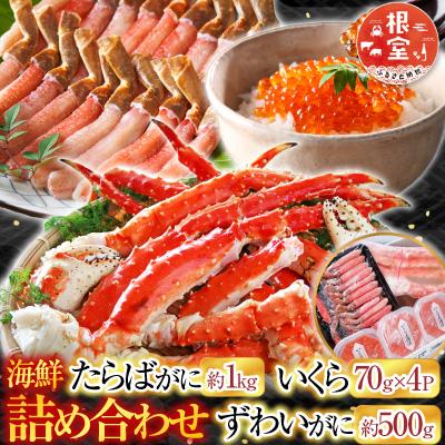 ふるさと納税 根室市  海鮮詰め合わせ(たらばがに・ずわいがに・いくら) D-28046