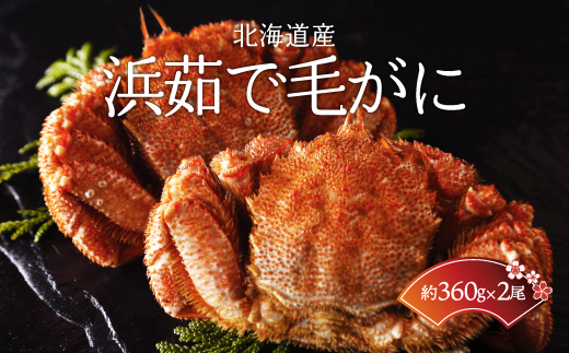 ＜北海道産＞浜茹で毛がに【360g×2尾】（網走加工） ABC015