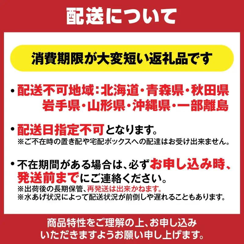 【訳あり】 香住ガニ 約600g×3匹（約1.8kg以上）【令和8年9月中旬以降発送予定】かに カニ 07-14