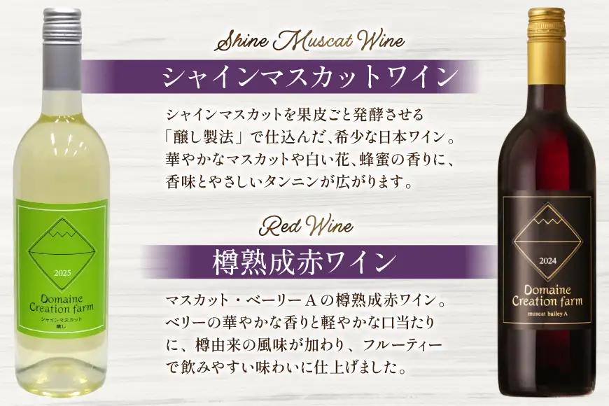 ワイン シャインマスカット醸しワイン 樽熟成赤ワインセット 750ml x 2本