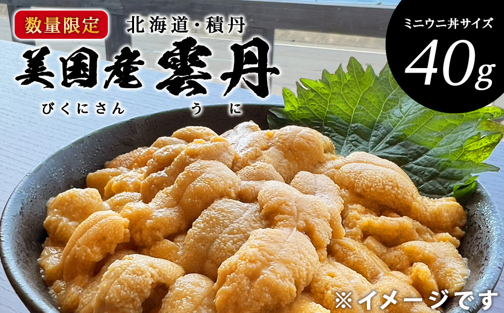 
            【期間限定】美国産雲丹40g ミニウニ丼サイズ 北海道 ウニ うに　「2025年8月24日決済分まで年内発送」
          