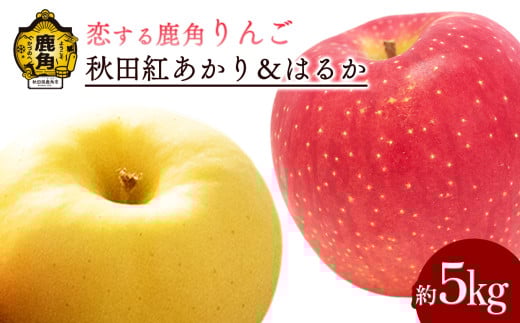《先行予約》令和7年産 秋田県鹿角産りんご「秋田紅あかり＆はるか」約 5kg 詰め合わせ【恋する鹿角カンパニー】●2025年12月上旬発送開始  かづのりんご 食感 果汁 さっぱり リンゴ 完熟 旬 お歳暮 贈り物 お見舞い グルメ ギフト 故郷 秋田 あきた 鹿角市 鹿角 送料無料