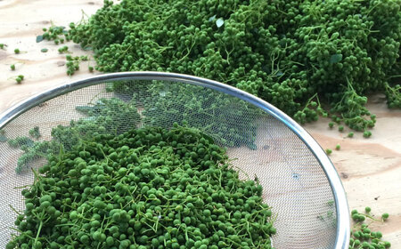 奥出雲山椒ジャコのり「頼むからごはんください」 2個・山椒オリーブオイル1本セット