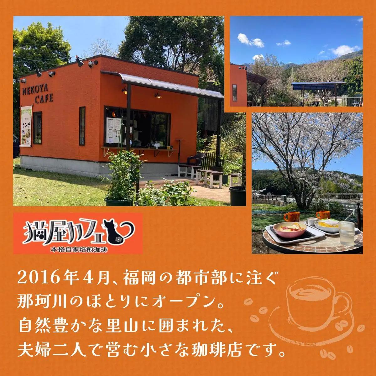  申込後に自家焙煎！コーヒー ギフトセット 【豆】 計500g ブレンド＆エチオピア モカ イルガチェフェ