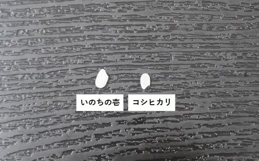 一般的なコシヒカリより約1.5倍も大きい粒の大きさが特徴です。