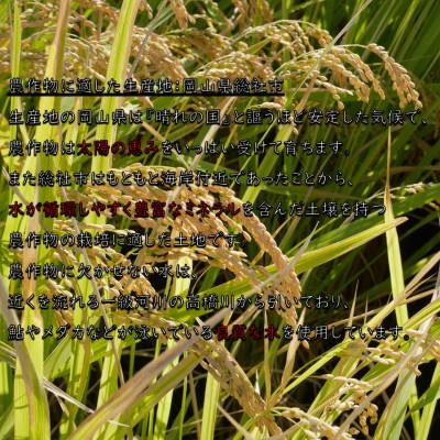 ふるさと納税 岡山市 《岡山県産お米_令和7年産》【ヒノヒカリ】玄米20kg |  | 02