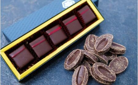 ボンボンショコラ5個(シャキーラ)&フェーブ80g（コイン状チョコレート）／NICOchocolaterie チョコレート チョコレート専門店 ボンボンショコラ スイーツ お菓子 贈答用 ギフト お取り寄せ 福岡県 小郡市 