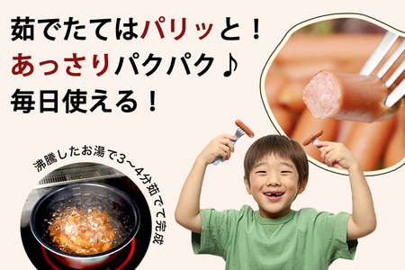 ★ふるなび限定★ 国産 ウインナー 5kg 訳あり 冷凍 ソーセージ ウインナー DV033-1