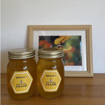 ふるさと納税 瑞浪市 純粋ハチミツ(アカシア500g×1　山桜500g×1)