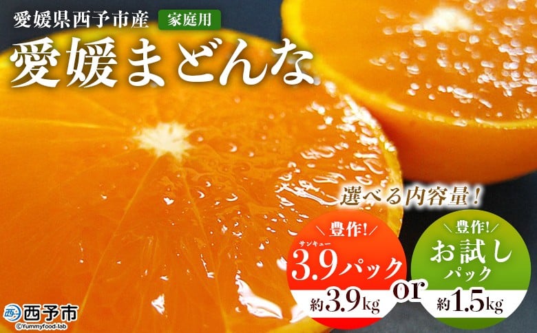 
            紅まどんなと同品種！＜愛媛県西予市産 愛媛まどんな 家庭用 豊作 3.9パック 約3.9kg／お試しパック 約1.5kg＞ 選べる 訳あり 柑橘 果物 フルーツ 愛媛果試第28号 マドンナ 食べて応援 宇都宮物産【常温】『2025年12月上旬～2026年1月上旬迄に順次出荷予定』
          
