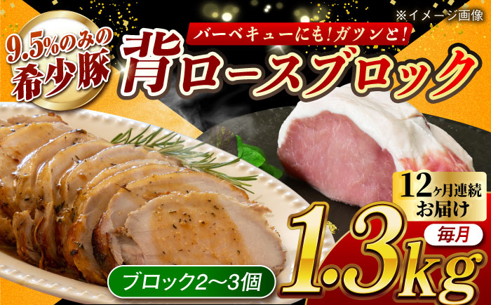 
            【月1回約1.3kg×12回定期便】大西海SPF豚 背ロースブロック 計約15.6kg 長崎県/長崎県農協直販 [42ZZAA091]
          