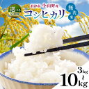 【ふるさと納税】【新米 1週間以内に発送】令和6年産 君津市小山野産 コシヒカリ 無洗米 3kg～10kg 1回・3回 ・6回 新米 しんまい 選べる数量 回数 千葉県産 こしひかり むせんまい 米 コメ こめ お米 すぐ発送 すぐ 年内 千葉県 君津市 きみつ あかかげ農園 千葉稲作