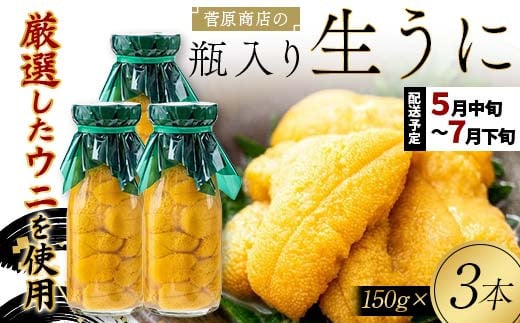 ≪2025年先行予約≫ 菅原商店の生うに150g 3本 【令和7年5月中旬～7月下旬配送予定】【配送日指定不可】【沖縄・離島配送不可】 三陸山田 山田町 牛乳瓶 海産品 無添加 ミョウバン不使用 雲丹 海栗 YD-714