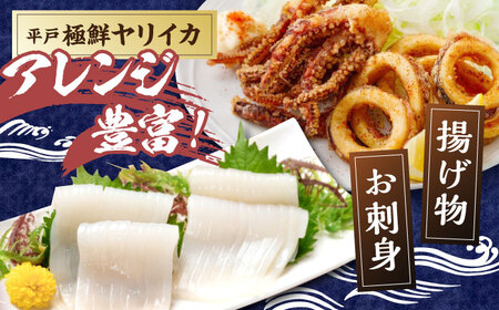 【6回定期便】極鮮ヤリイカ 約500g【海隆丸】[KAB179]/ 長崎 平戸 魚介類 イカ いか ヤリイカ 真空パック 小分け 贈物 贈答 プレゼント 定期便