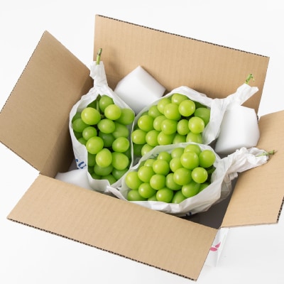 山梨市産「シャインマスカット(種なし)」 約1.65kg (約550g×3房)【配送不可地域：離島・沖縄県】