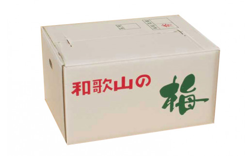 【梅干・梅酒用】（LまたはM－2Kg）熟南高梅＜2025年6月上旬～7月上旬ごろに順次発送予定＞【art012A】_イメージ4