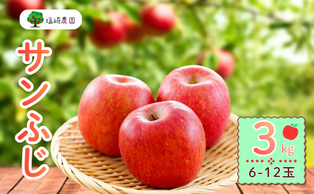 【先行予約】サンふじ 約3kg (6〜12玉）（2025年12月上旬から発送）りんご サンふじ 限定  直送 好評 (7-A41-1)