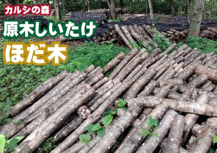 原木しいたけ栽培 ほだ木 1本 | 合同会社カルシ [BNAU003]