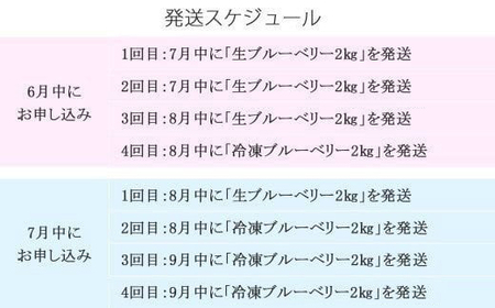 【定期便】 ブルーベリー三昧 Aセット（約8kg／4回発送） 完熟生ブルーベリー（8月中旬以降は冷凍ブルーベリー） エコえひめ認証