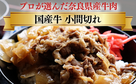 【定期便3回】国産牛 こまぎれ 600g(300gx2) ｜肉 にく ニク お肉 牛肉 黒毛 和牛 赤身 国産 大和牛 切り落とし こまぎれ バラ サーロイン ステーキ 盛合わせ 冷凍 奈良県 五條市