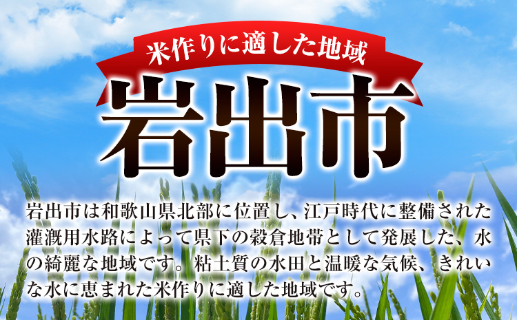 米 こめ 岩出市応援米 約5kg 《30日以内に出荷予定(土日祝除く)》 和歌山県 岩出市 お米 コメ ご飯 ごはん 米5kg