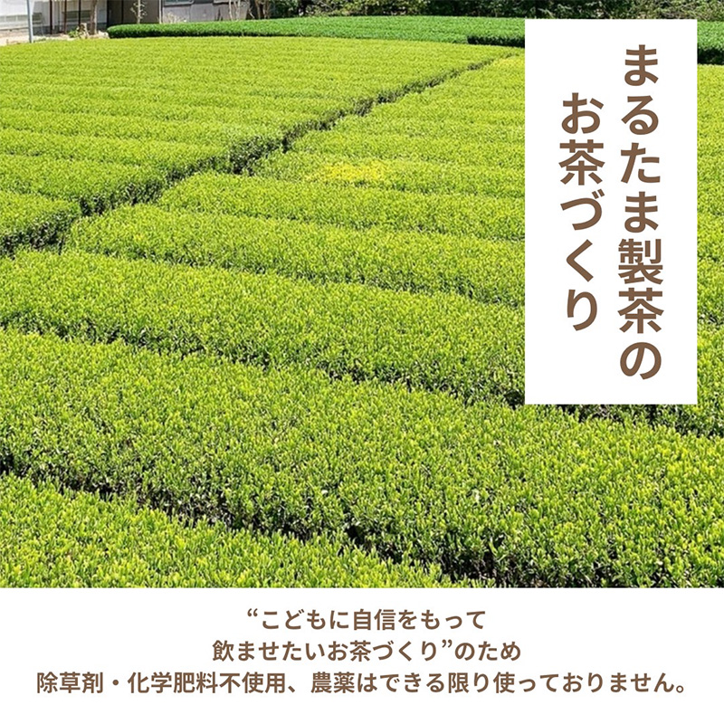 静岡茶1kg 静岡県産【栽培期間中除草剤不使用】の静岡茶 ご家庭用サイズ茶葉1kg（500g×2袋セット）
