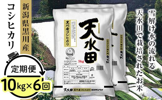 27-106D【6ヶ月連続お届け】新潟県黒川産コシヒカリ10kg（5kg×2袋）【天水田】