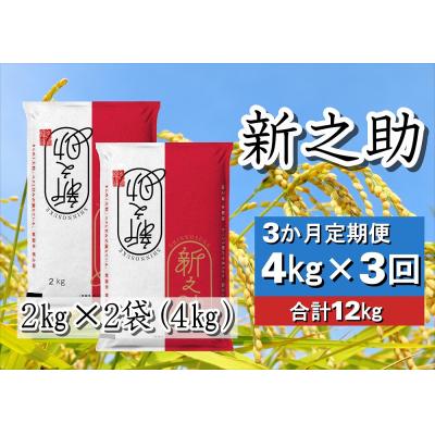 ふるさと納税 阿賀野市 【令和7年産新米】【3回定期便】新潟県産 新之助4kg×3回 計12kg 白米 精米 井上米穀店